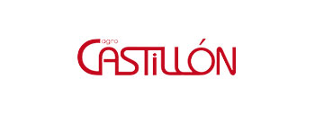 Logo castillon