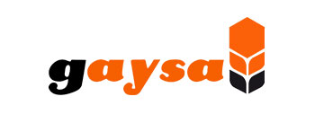 Logo gaysa